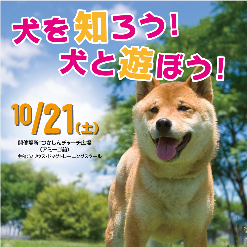 教室イベント アーカイブ シリウス ドッグトレーニングスクール 犬のしつけならシリウスへ